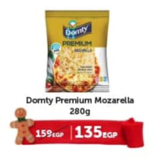 DOMTY Mozzarella  in Gourmet Food Stores in Egypt - Cairo