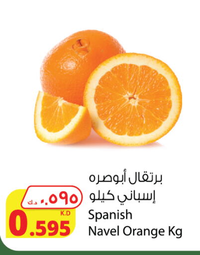  Orange  in Agricultural Food Products Co. in Kuwait - Ahmadi Governorate