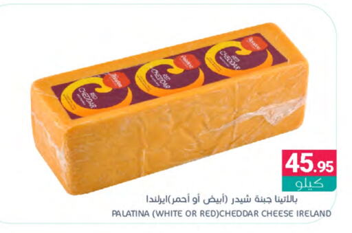  Cheddar Cheese  in Muntazah Markets in KSA, Saudi Arabia, Saudi - Qatif