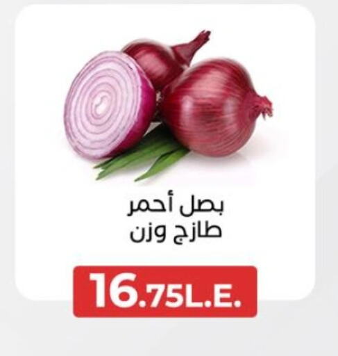  Onion  in Arafa Market in Egypt - Cairo