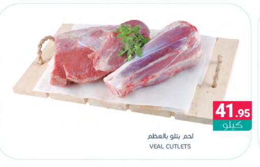  Veal  in Muntazah Markets in KSA, Saudi Arabia, Saudi - Saihat