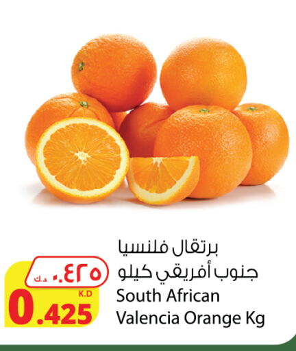  Orange  in Agricultural Food Products Co. in Kuwait - Ahmadi Governorate