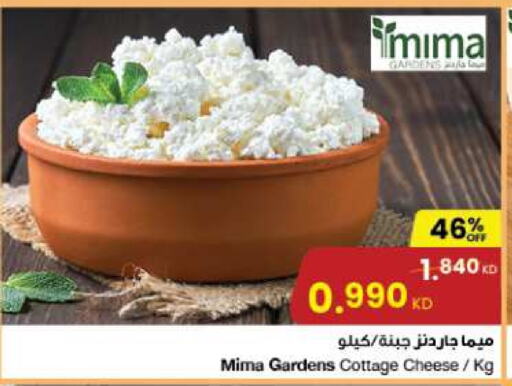  Cottage Cheese  in The Sultan Center in Kuwait - Kuwait City