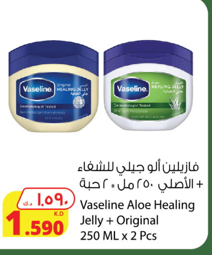 VASELINE Petroleum Jelly  in Agricultural Food Products Co. in Kuwait - Kuwait City