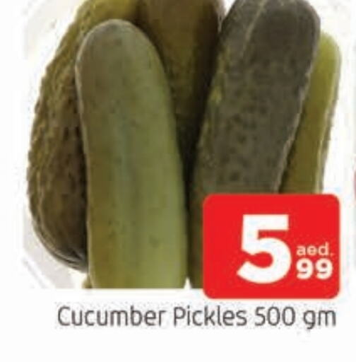  Pickle  in AL MADINA in UAE - Sharjah / Ajman