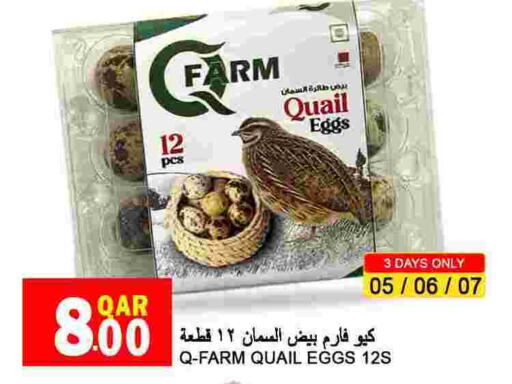    in Food Palace Hypermarket in Qatar - Doha