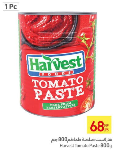  Tomato Paste  in Carrefour  in Egypt - Cairo