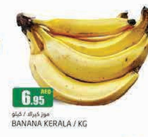  Banana  in PASONS GROUP in UAE - Dubai