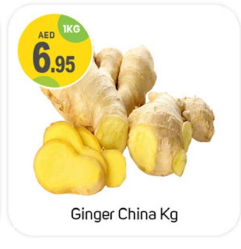  Ginger  in TALAL MARKET in UAE - Dubai