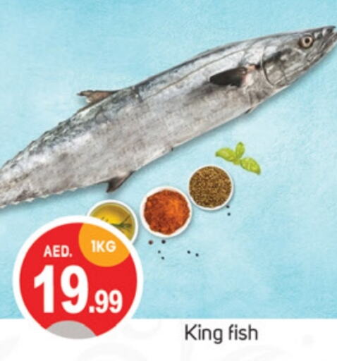  King Fish  in TALAL MARKET in UAE - Dubai