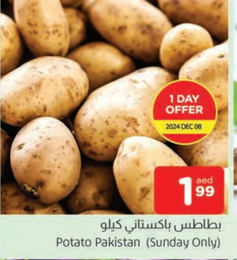  Potato  in AL MADINA in UAE - Sharjah / Ajman