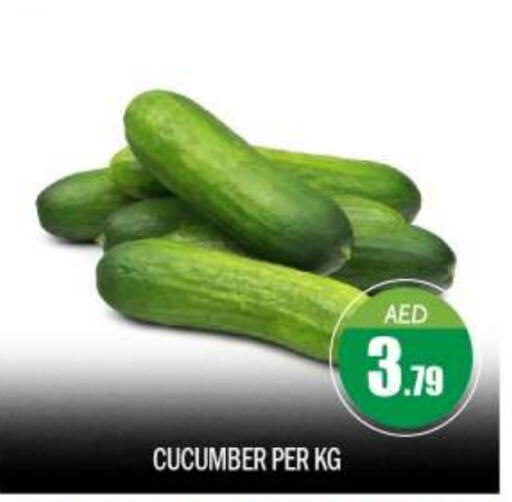  Cucumber  in BIGmart in UAE - Dubai