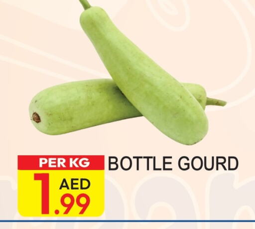  Gourd  in Dream Land in UAE - Dubai