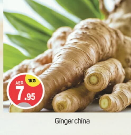  Ginger  in TALAL MARKET in UAE - Dubai