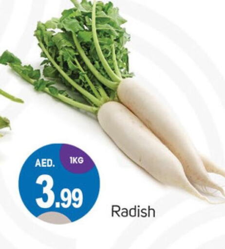  Radish  in TALAL MARKET in UAE - Dubai