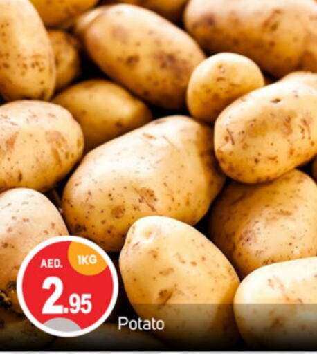  Potato  in TALAL MARKET in UAE - Sharjah / Ajman