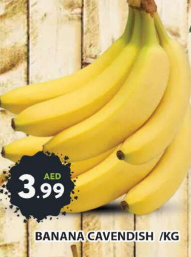  Banana  in Grand Hyper Market in UAE - Dubai