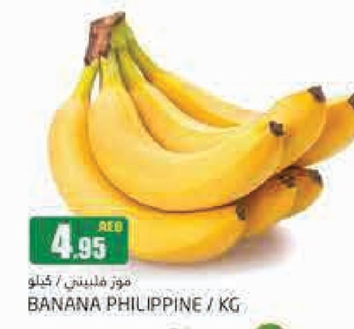  Banana  in PASONS GROUP in UAE - Dubai