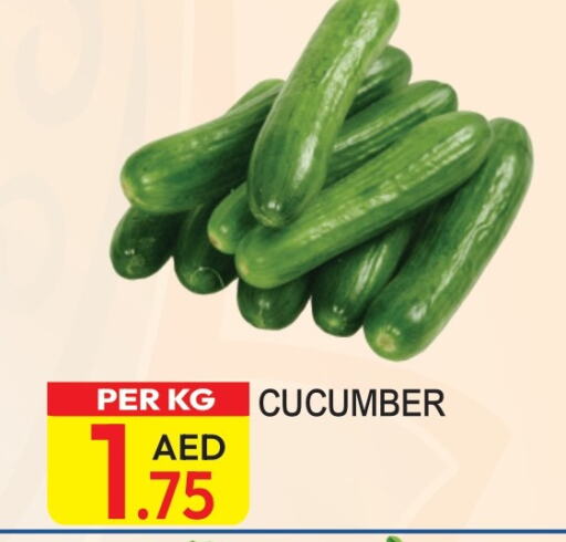  Cucumber  in Dream Land in UAE - Dubai