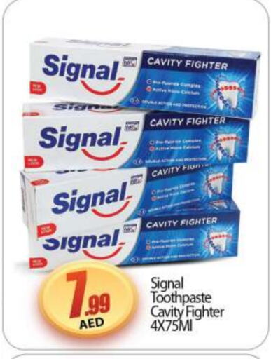 SIGNAL Toothpaste  in BIGmart in UAE - Dubai