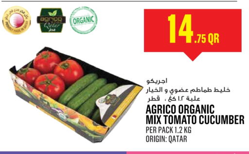  Tomato  in Monoprix in Qatar - Al-Shahaniya