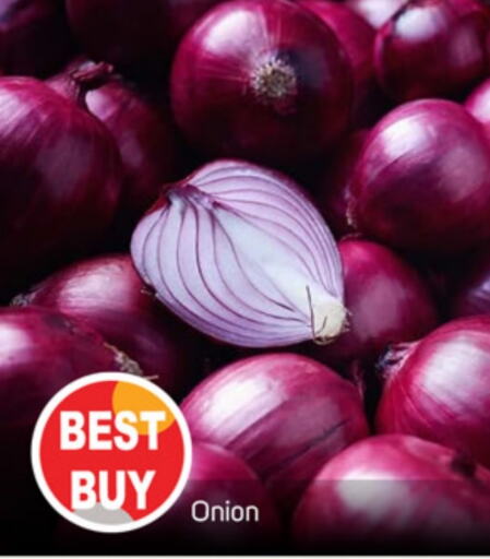  Onion  in TALAL MARKET in UAE - Sharjah / Ajman