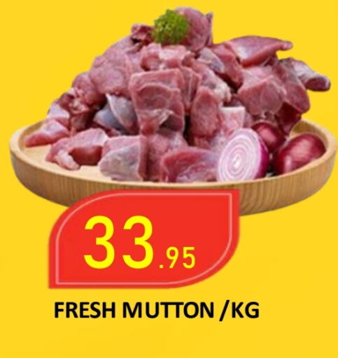  Mutton / Lamb  in ROYAL GULF HYPERMARKET LLC in UAE - Abu Dhabi