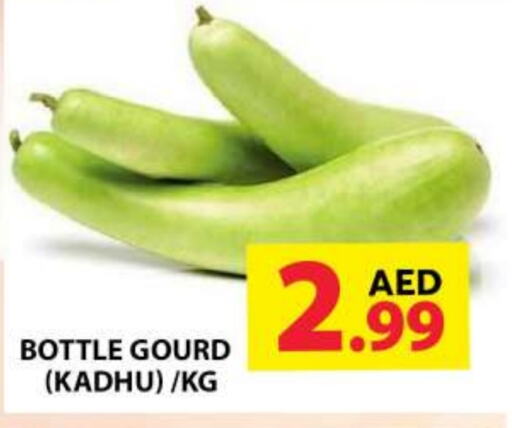  Gourd  in Grand Hyper Market in UAE - Dubai