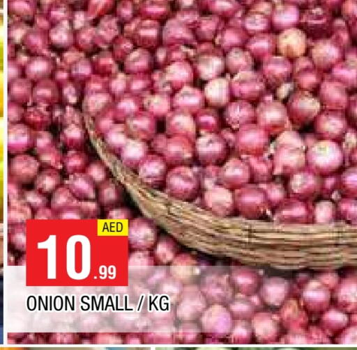  Onion  in AL MADINA in UAE - Sharjah / Ajman