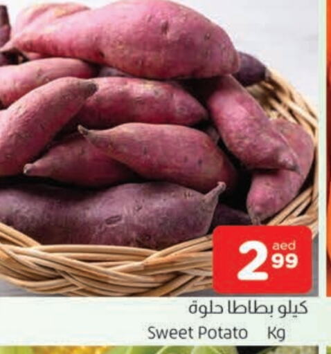  Sweet Potato  in AL MADINA in UAE - Sharjah / Ajman