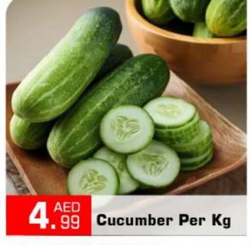  Cucumber  in BIGmart in UAE - Dubai