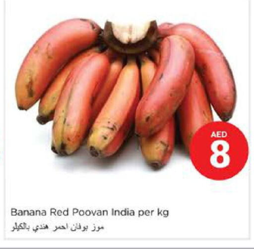  Banana  in Nesto Hypermarket in UAE - Dubai