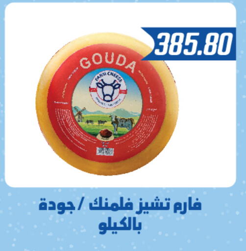  Gouda  in Hyper Samy Salama Sons in Egypt - Cairo