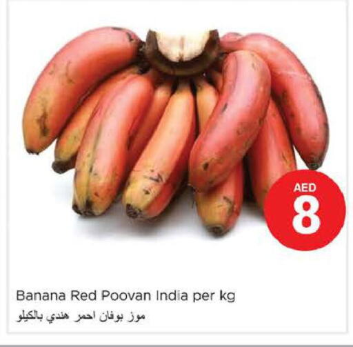  Banana  in Nesto Hypermarket in UAE - Dubai