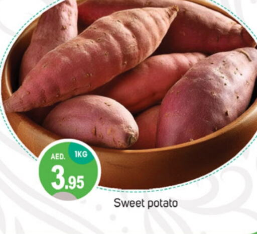  Sweet Potato  in TALAL MARKET in UAE - Dubai