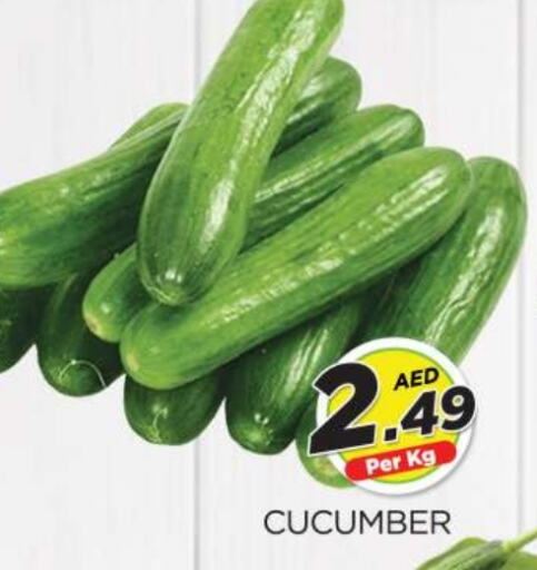  Cucumber  in AL MADINA (Dubai) in UAE - Dubai