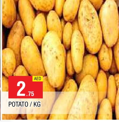  Potato  in AL MADINA in UAE - Sharjah / Ajman