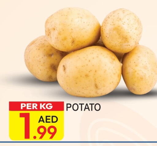  Potato  in Dream Land in UAE - Dubai