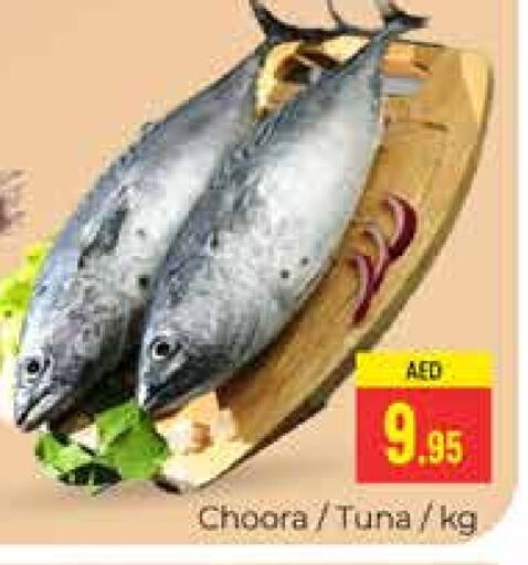  Tuna  in PASONS GROUP in UAE - Dubai