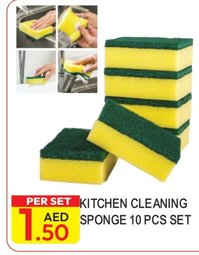  Cleaning Aid  in Dream Land in UAE - Dubai