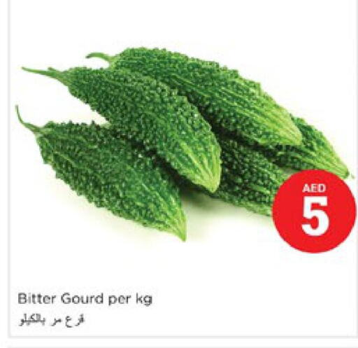  Gourd  in Nesto Hypermarket in UAE - Dubai