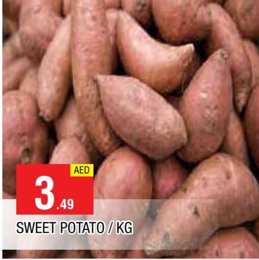  Sweet Potato  in AL MADINA in UAE - Sharjah / Ajman