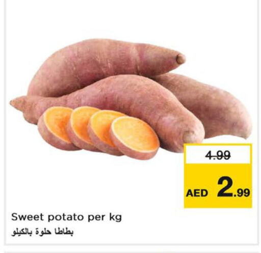  Sweet Potato  in Last Chance  in UAE - Sharjah / Ajman