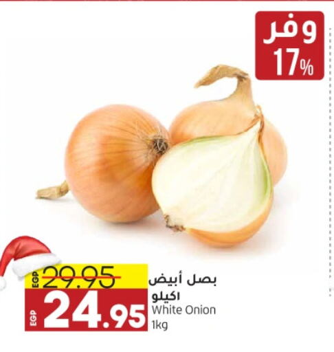  White Onion  in Lulu Hypermarket  in Egypt - Cairo