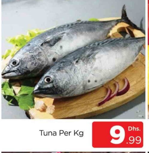  Tuna  in AL MADINA (Dubai) in UAE - Dubai