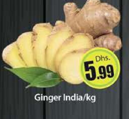  Ginger  in Al Madina  in UAE - Dubai