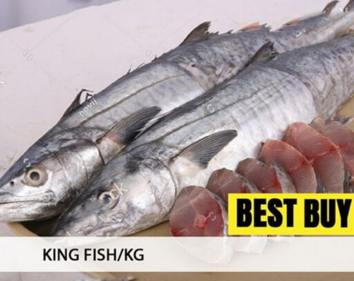  King Fish  in Al Madina  in UAE - Dubai