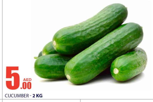  Cucumber  in Bismi Wholesale in UAE - Dubai