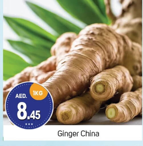  Ginger  in TALAL MARKET in UAE - Dubai