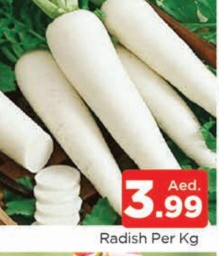  Radish  in AL MADINA (Dubai) in UAE - Dubai